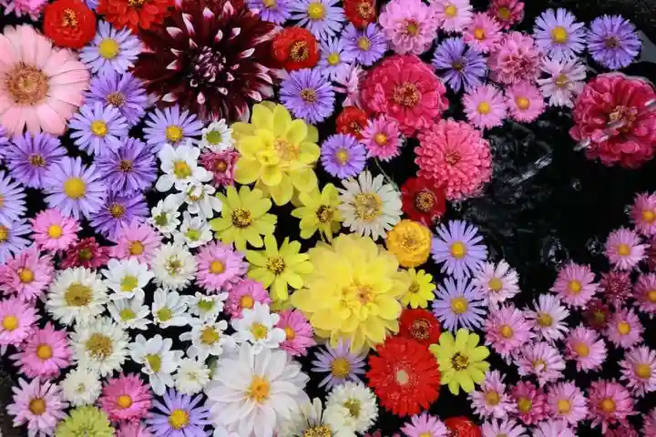 大鏑神社の手水舎