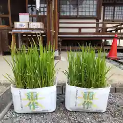 七重浜海津見神社(北海道)