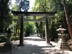 大和神社の鳥居