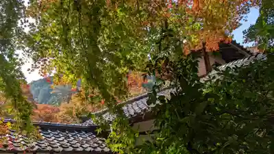 山科聖天 雙林院(双林院) (京都府)