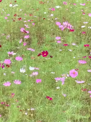 結縁寺(千葉県)