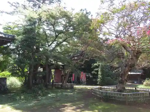 金乘院(千葉県)