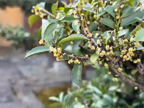 西方山極楽寺(岐阜県)