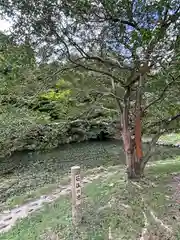 古法華寺（多聞寺境外仏堂）の自然