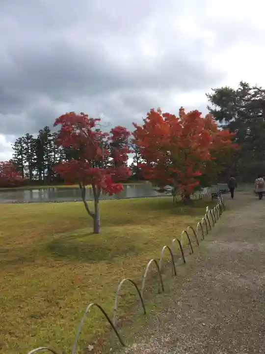 毛越寺の御朱印