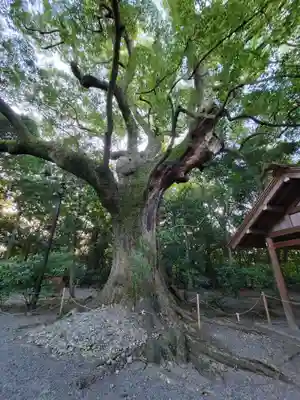 月夜見宮（豊受大神宮別宮）(三重県)