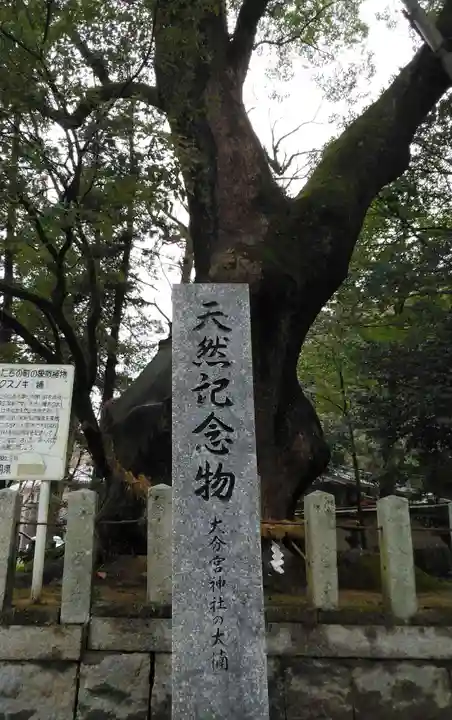 大分八幡宮の自然