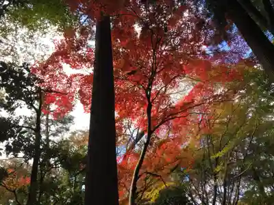 龍安寺(京都府)
