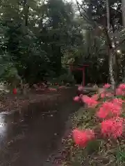 宮川熊野神社(千葉県)