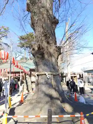 東八幡神社(埼玉県)