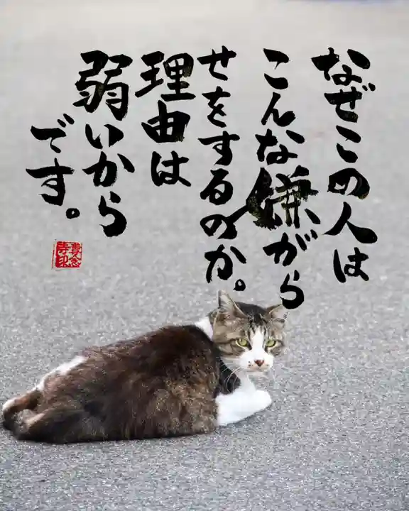 専念寺(大阪府)