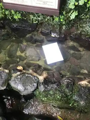 貴船神社のおみくじ