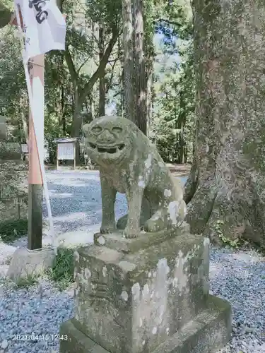 間々田八幡宮の狛犬