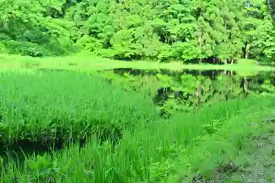 郡殿の池弁財天社(新潟県)
