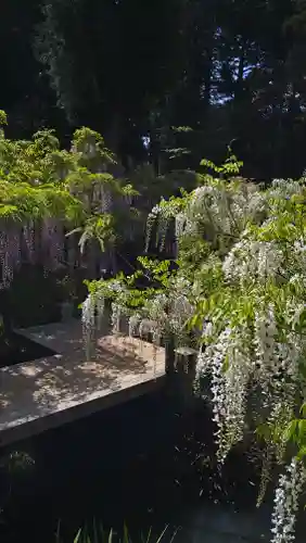 歌泉堂（春日大社神苑萬葉植物園内鎮座）(奈良県)