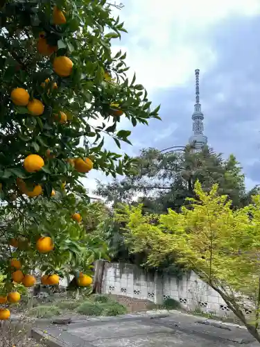 弘福寺(東京都)