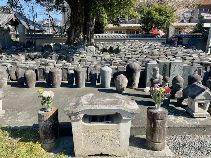 浄運寺の{uncategorized: "未分類", other: "その他", undefined: "問題あり", building: "その他建物", grave: "お墓", sacred_gate: "鳥居", guardian: "狛犬", statue: "像", buddha: "仏像", history: "歴史", nature: "自然", garden: "庭園", animal: "動物", pagoda: "塔", temizu: "手水舎", mountain_gate: "山門・神門", sanctuary: "本殿・本堂", subordinate: "末社・摂社", art: "芸術", scenery: "景色", jizo: "地蔵", ema: "絵馬", goshuin: "御朱印", omikuji: "おみくじ", items: "授与品その他", amulet: "お守り", goshuincho: "御朱印帳", eats: "食事", festival: "お祭り", votive_dance: "神楽", shichigosan: "七五三参", wedding: "結婚式", experience: "体験その他", initially: "初詣", around: "周辺", anti_infection: "感染症対策"}