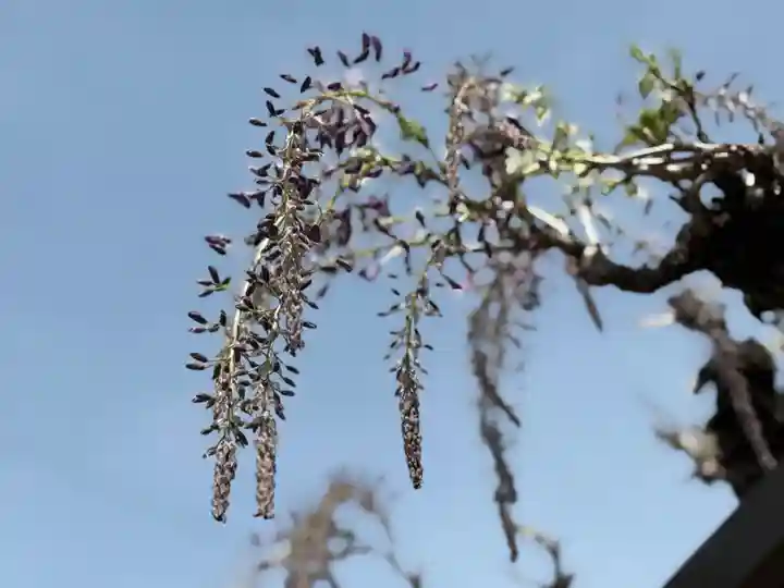 西方山極楽寺(岐阜県)