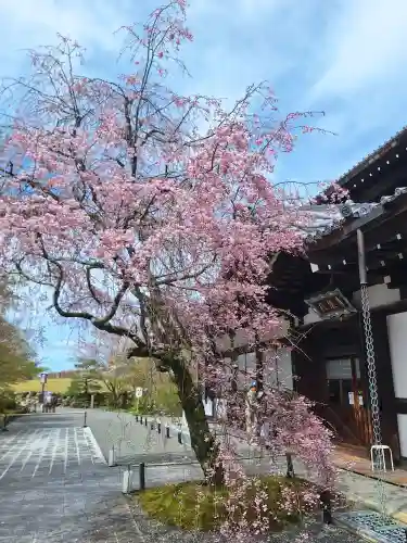将軍塚青龍殿（青蓮院門跡）の{uncategorized: "未分類", other: "その他", undefined: "問題あり", building: "その他建物", grave: "お墓", sacred_gate: "鳥居", guardian: "狛犬", statue: "像", buddha: "仏像", history: "歴史", nature: "自然", garden: "庭園", animal: "動物", pagoda: "塔", temizu: "手水舎", mountain_gate: "山門・神門", sanctuary: "本殿・本堂", subordinate: "末社・摂社", art: "芸術", scenery: "景色", jizo: "地蔵", ema: "絵馬", goshuin: "御朱印", omikuji: "おみくじ", items: "授与品その他", amulet: "お守り", goshuincho: "御朱印帳", eats: "食事", festival: "お祭り", votive_dance: "神楽", shichigosan: "七五三参", wedding: "結婚式", experience: "体験その他", initially: "初詣", around: "周辺", anti_infection: "感染症対策"}