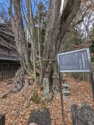 小室浅間神社(山梨県)