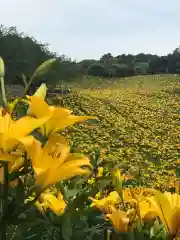 秋葉總本殿可睡斎の自然