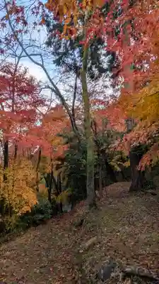 若山神社(大阪府)
