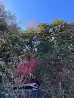 大宮温泉神社(栃木県)