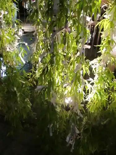 頂法寺（六角堂）の自然