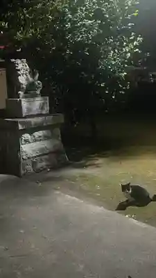 八坂神社(東京都)