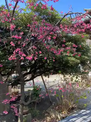 龍峰寺(神奈川県)
