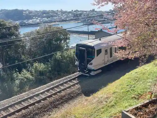 素盞嗚神社(静岡県)