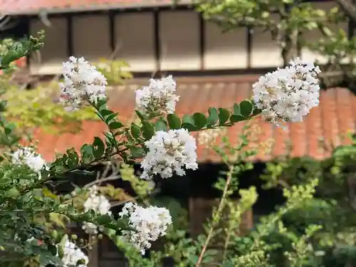 木舟山　順教寺の自然
