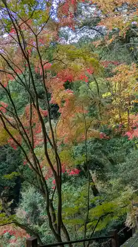 善峯寺(京都府)