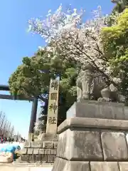 靖國神社の狛犬