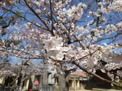 舞子六神社/まいこむの宮(兵庫県)