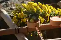 阿久津「田村神社」(郡山市阿久津町)旧社名:伊豆箱根三嶋三社の手水舎