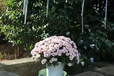 開成山大神宮の手水舎