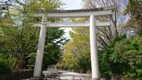 新潟縣護國神社の鳥居