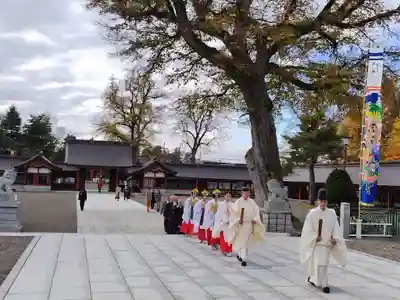 北海道護國神社の神楽