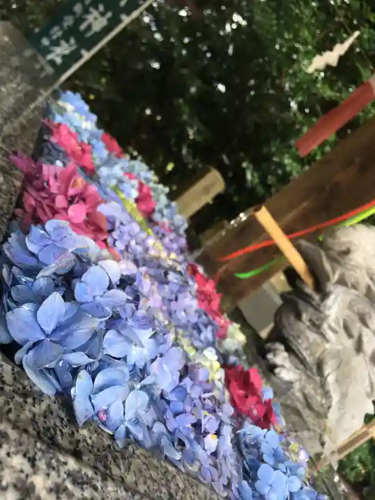 滑川神社 - 仕事と子どもの守り神の手水舎