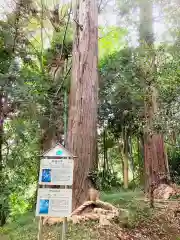 皇産霊神社(茨城県)