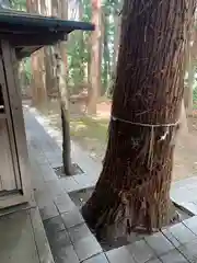 熊野神社(茨城県)