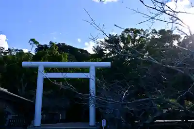 安房神社の鳥居