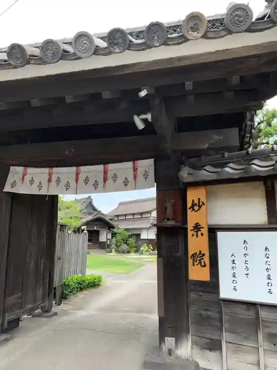四季桜の寺 妙乗院の山門・神門