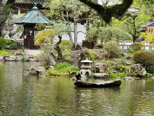 太宰府天満宮の庭園