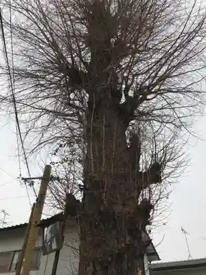 金剛乗寺(熊本県)