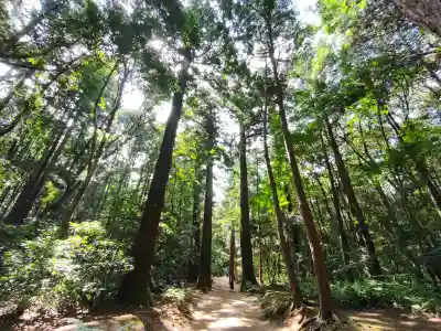 奥宮(鹿島神宮摂社)(茨城県)