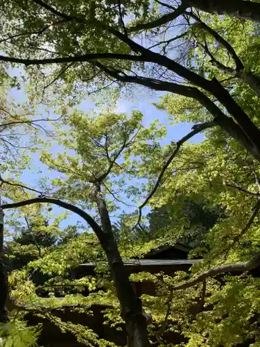 滑川神社 - 仕事と子どもの守り神(福島県)