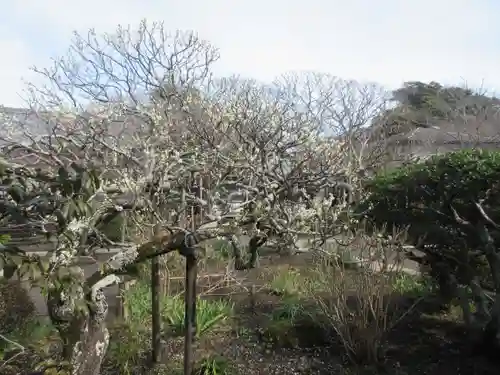 極楽寺（霊鷲山感應院極楽律寺）の庭園