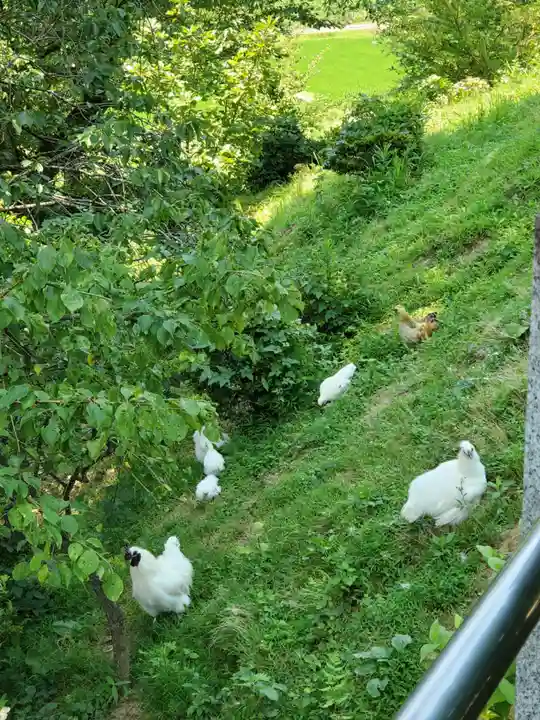 高屋敷稲荷神社(福島県)